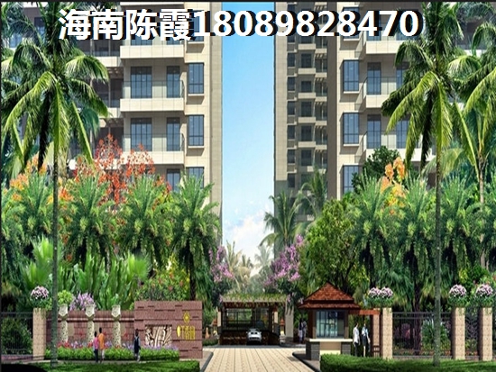 清澜半岛45平米公寓，清澜经济开发区公寓哪里性价比高？